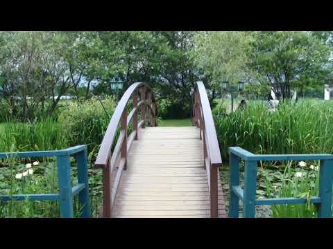 오늘처럼 비가 내리면  주용하