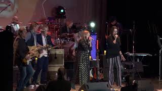 I’d Have You Anytime - George Harrison Fest Live at The Everett Historic Theater 2/25/2023