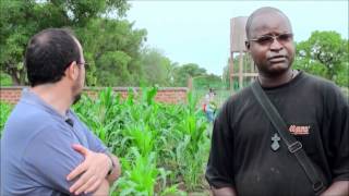 preview picture of video 'Granja de los Carmelitas Descalzos de Dédougou en Burkina Faso'