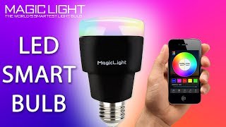 Smart Wi-Fi Control RGB Fairy String Light