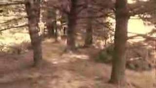 Dashboard Confessional - So Long, So Long