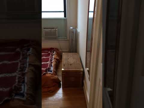 5941 North Paulina St. Apt. property video