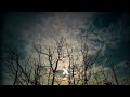 [AS BUMP] Tycho - Brother