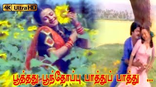 Download lagu பூத்தது பூந்தோப்பு பாத்துப் பாத்து பாடல் | Poothathu Poonthoppu | Janaki, Mano | Thanga Manasukkaran mp3 Download lagu பூத்தது பூந்தோப்பு பாத்துப் பாத்து பாடல் | Poothathu Poonthoppu | Janaki, Mano | Thanga Manasukkaran mp3