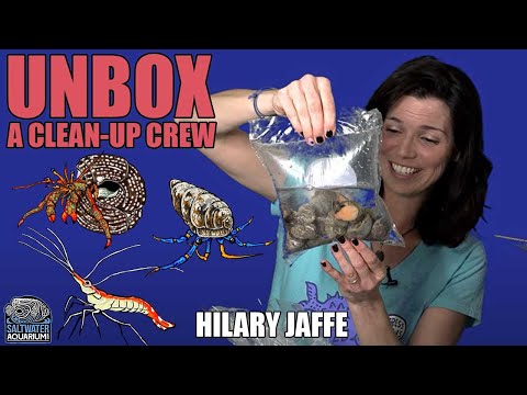 UNBOXING A Saltwater Aquarium Clean-Up Crew  - Hilary Jaffe