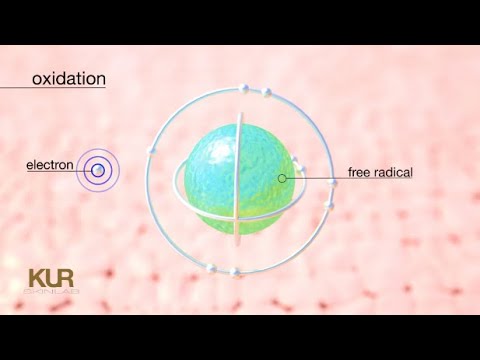 Antioxidant Mechanism of Action  |  Power of Vitamins C+E