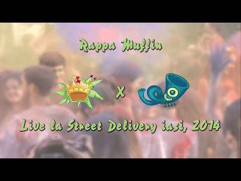 Rappa Muffin live la Street Delivery Iasi, 2014
