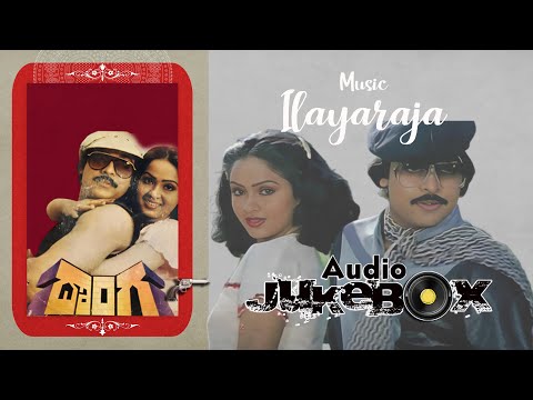 Donga All Telugu Songs | Chiranjeevi, Radha| Ilayaraja | @Vinalanivundi
