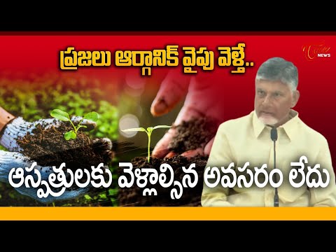 CM Chandrababu Naidu About Organic Farming | ప్రజలు ఆర్గానిక్ వైపు వెళ్తే.. | Tone News