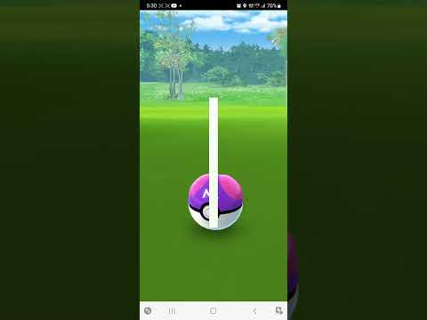 포켓몬고 마스터 볼 쇼!