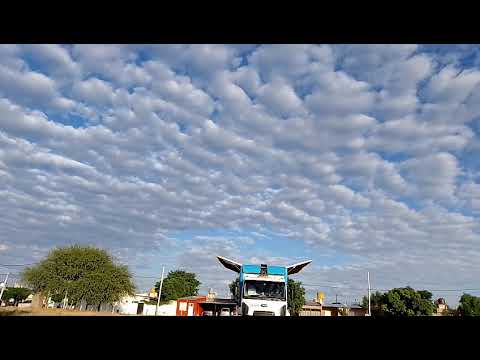 8-11-2025 : Suelta del CIP desde Santa Isabel, La Pampa