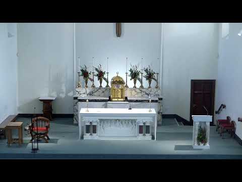 Holy Mass (10am Live) - Wednesday 10th January 2024