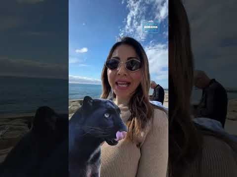 Popular Opinion con Elettra Lamborghini | Sanremo 2026