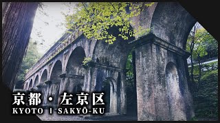 京都左京区の朝雨滴る美しい庭園と神社仏閣3選 l Beautiful gardens and temples in Kyoto【Kyoto Sakyo】