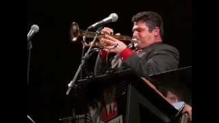 Stella by Starlite by Walter White