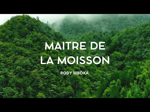 Rody Mboka - Ma&icirc;tre de la moisson (Video Lyrics)