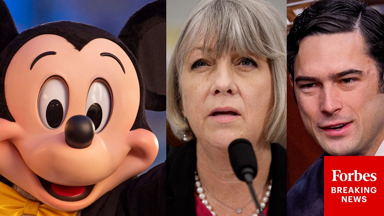 Video: Rep. Brandon Gill questions Smithsonian director on Mickey Mouse exhibit and toolkit