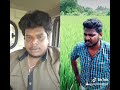 Tik Tok Pavangal
