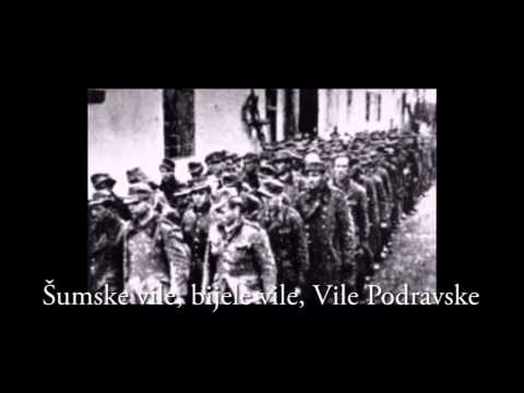 VILE PODRAVSKE (stihovi)