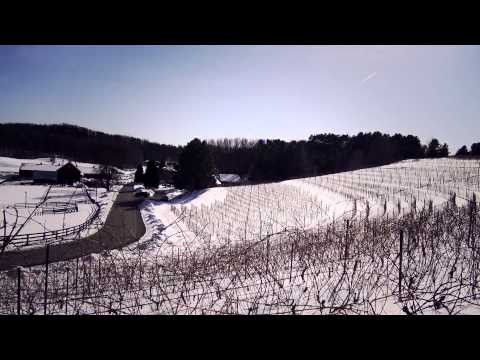 Cultivating an industry—from vine to wine