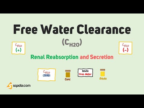 Renal Reabsorption and Secretion | Kidney Physiology | Free Water Clearance (CH20)