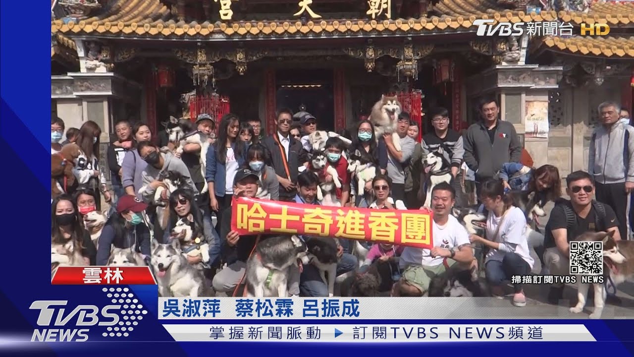 哈士奇進香團　北港朝天宮300年頭一遭