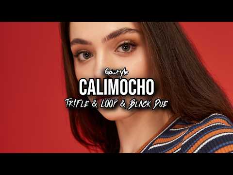 GAWRYLE - Calimocho (Tr!Fle & LOOP & Black Due REMIX)