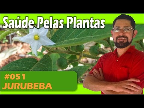 Beneficios da Jurubeba pra nossa saude