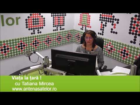 Interviu Radio Antena Satelor - Director general AFIR George CHIRITA