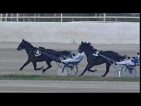 Napoli Trotto 12/02/2023 - 1ª corsa