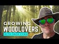 GROWING WOODLOVERS WITH JACK CYAN 🍄 ✨ The MycoGeeky Podcast