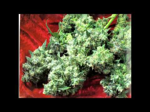 Da Brat Feat. Krayzie Bone - Let's All Get High (Uncensored)