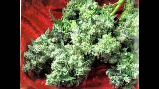 Da Brat Feat. Krayzie Bone - Let&#39;s All Get High (Uncensored)