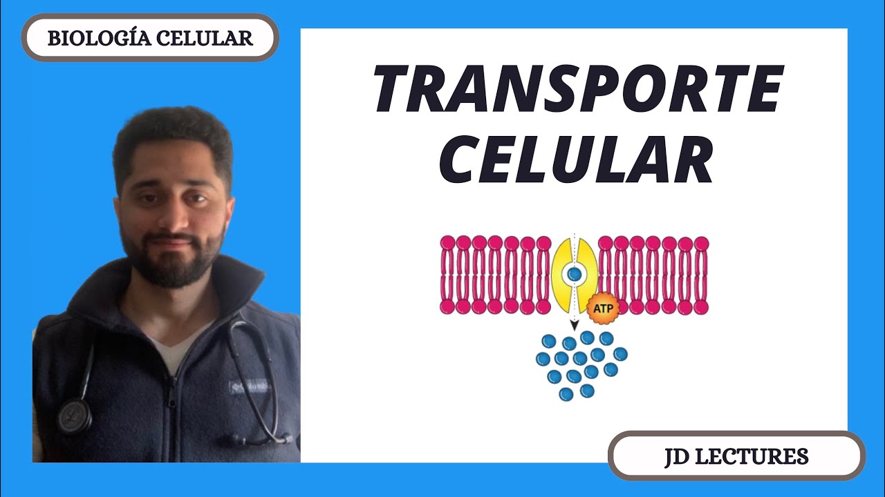 TRANSPORTE CELULAR | PASIVO Y ACTIVO | BIOLOGÍA CELULAR