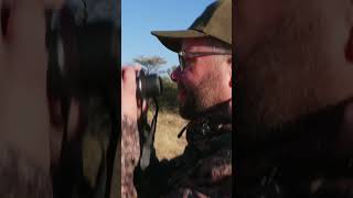 Das Gnu und der Monsterbock 🇳🇦 @ana_namibia