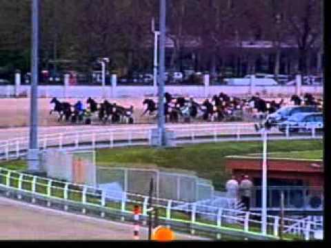 Premio d'Europa 2005 -Echò dei Veltri