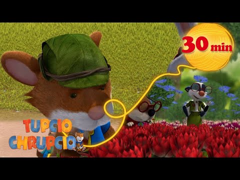 Tupcio Chrupcio - Sezon 1 - Odcinek 1 - Chaos w domu Tupcia! (Kompilacja)