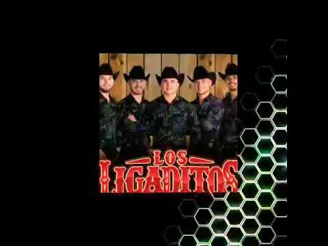 Tigrillos ft los ligaditos no no no