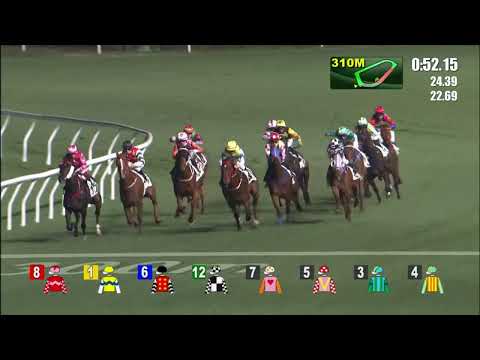 9/2/2022 (413) Regency Star -  A Badel