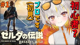 [Vtub] 小箱or個人Vtuber 0502 DD串