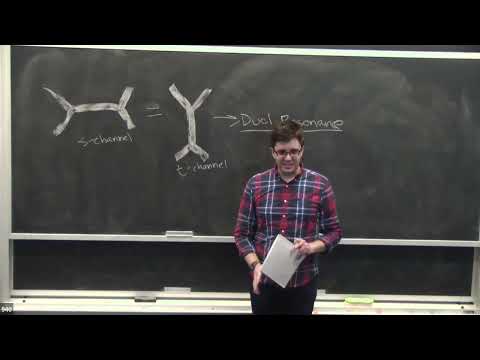 CCPP Brown Bag - String amplitudes and dual resonance