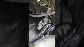 2011 Hyundai accent transmission temperature sensor