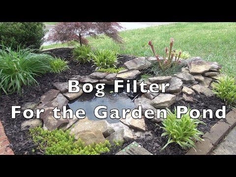 Bog Filter For The Garden Pond