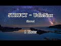 STRUCT UdieNnx 1H Loop