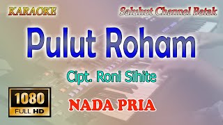Download lagu PULUT ROHAM ll KARAOKE BATAK ll RONI SIHITE ll JUN MUNTHE ll NADA PRIA AS=DO mp3