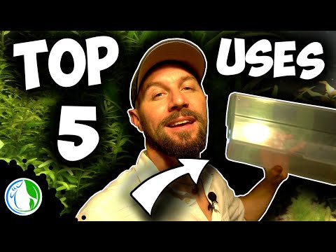 download lagu mp3 mp4 Fish Container For Sale, download lagu Fish Container For Sale gratis, unduh video klip Fish Container For Sale