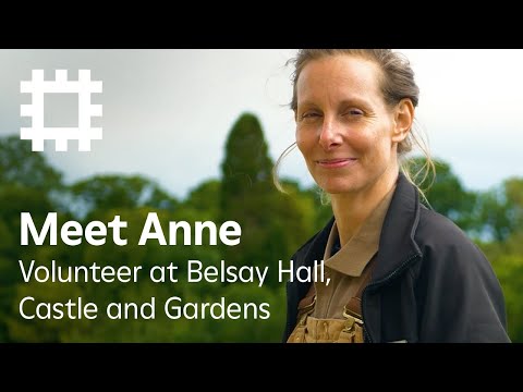 認識志願者安妮：分享她對貝爾賽花園的熱情 (Meet volunteer Anne: sharing her passion for the gardens at Belsay)