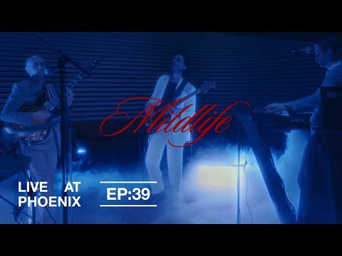 Mildlife — "Musica" | Live at Phoenix