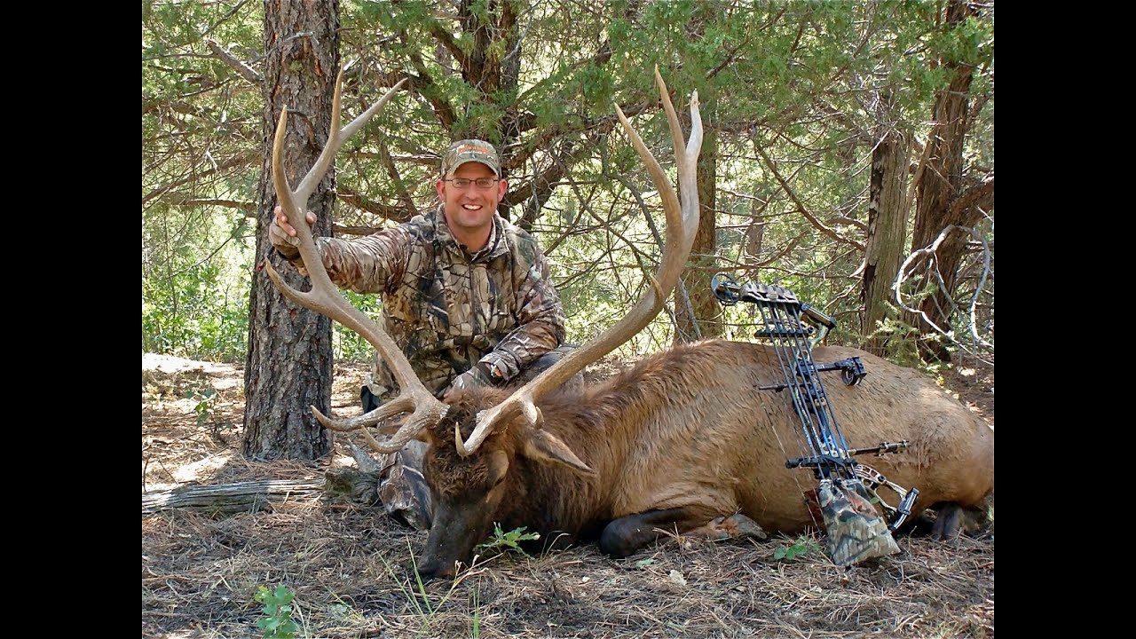 15-Yard Files: Close-In Calling Secrets That Work for Giant Elk