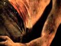 Cold Mountain - Scarlet Tide 